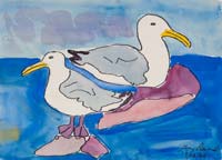 Seagulls - Monhegan Island - click to view larger image...
